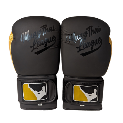 Development Series Gloves